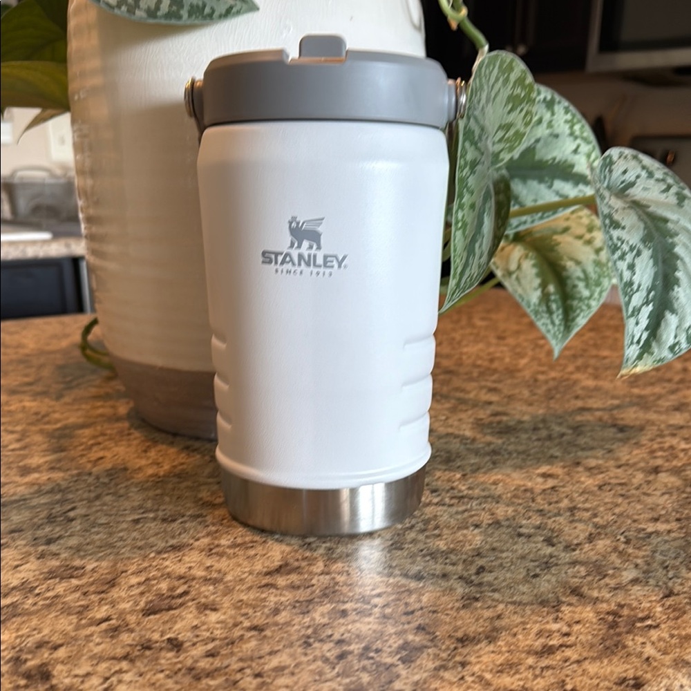 Stanley The IceFlow 40 Oz Classic Flip Straw Water Jug - Arctic White